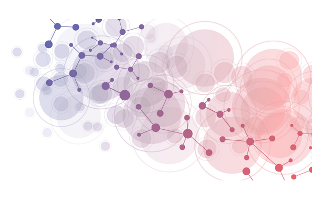 SEM images comparing fiber structures
